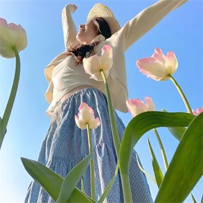 樱花庄的宠物女孩